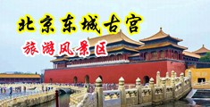 大鸡巴操逼好用力好爽视频中国北京-东城古宫旅游风景区